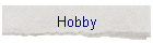 Hobby