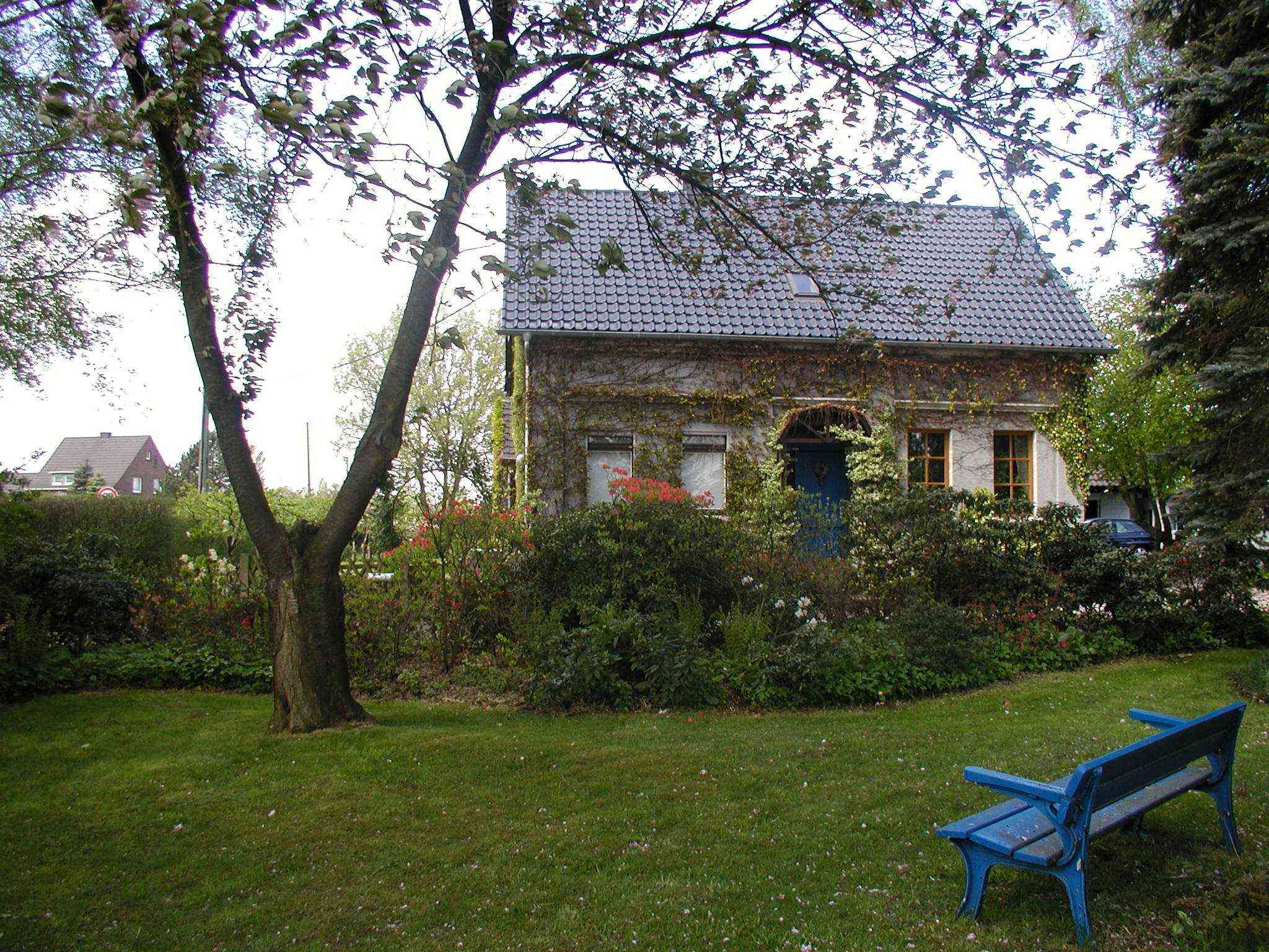 View from the park (east)