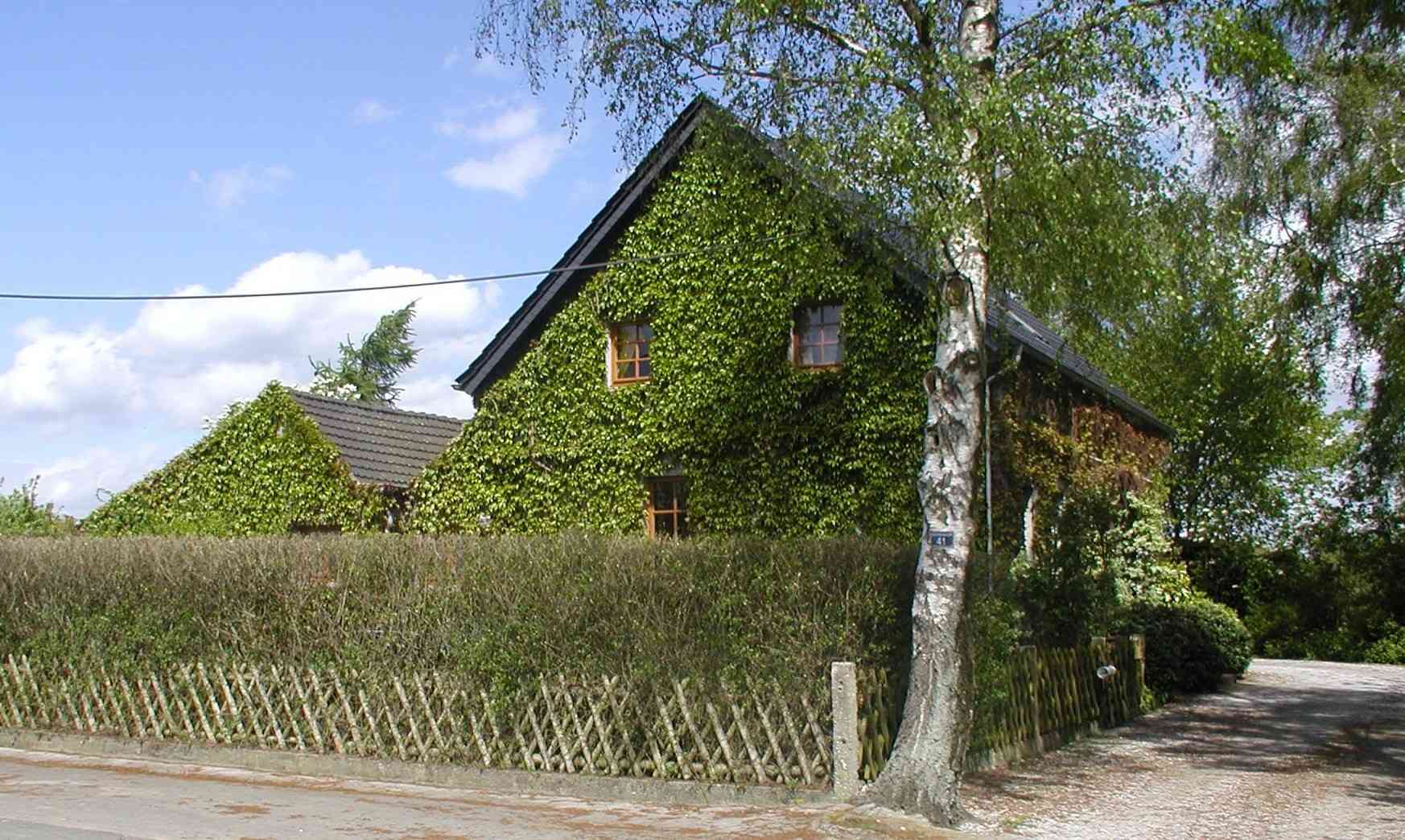 Streetside (south)