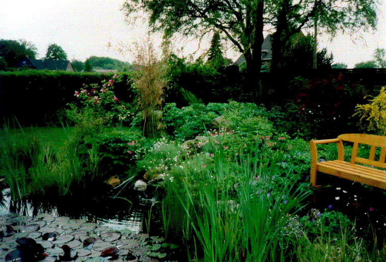 Pond